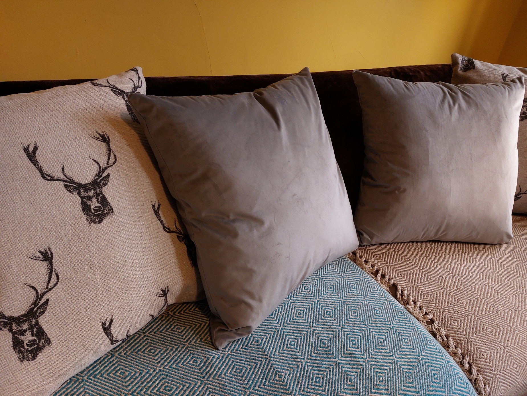 Grey Velvet Cushions - Image 5